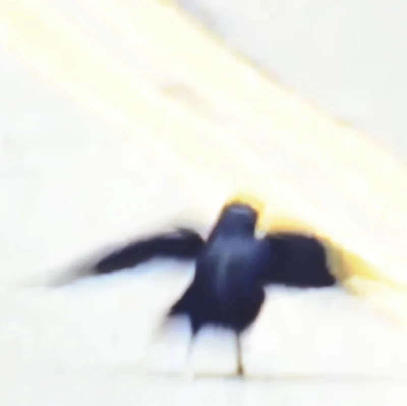 Fotografie von Andrea Stücke, Thema Schwimmen