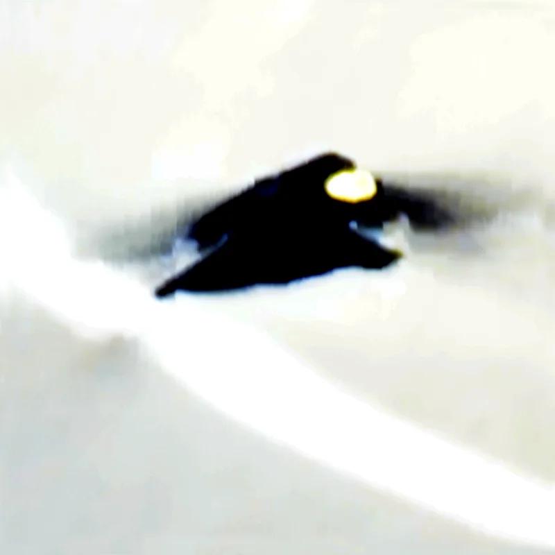 Fotografie von Andrea Stücke, Thema Schwimmen