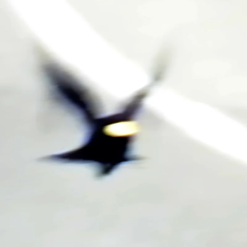 Fotografie von Andrea Stücke, Thema Schwimmen