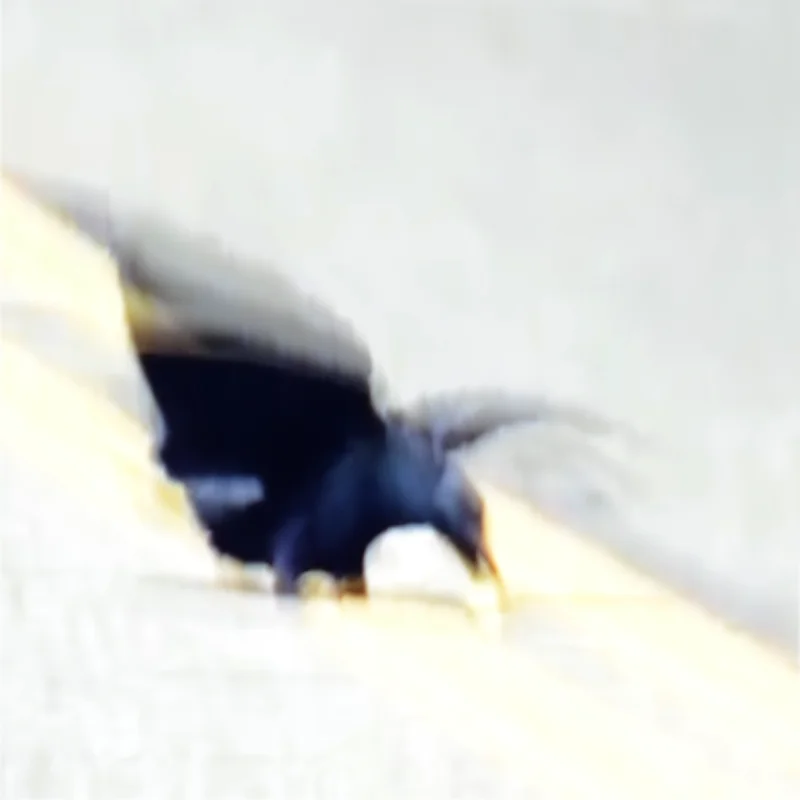 Fotografie von Andrea Stücke, Thema Schwimmen